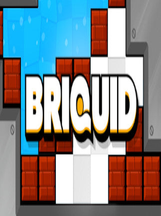Briquid