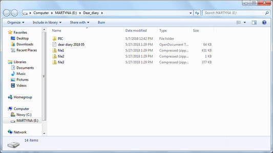 The USB Stick Found in the Grass (Steam)