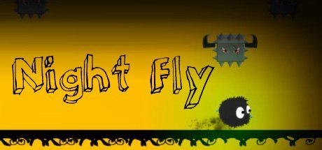 Night Fly (Steam)