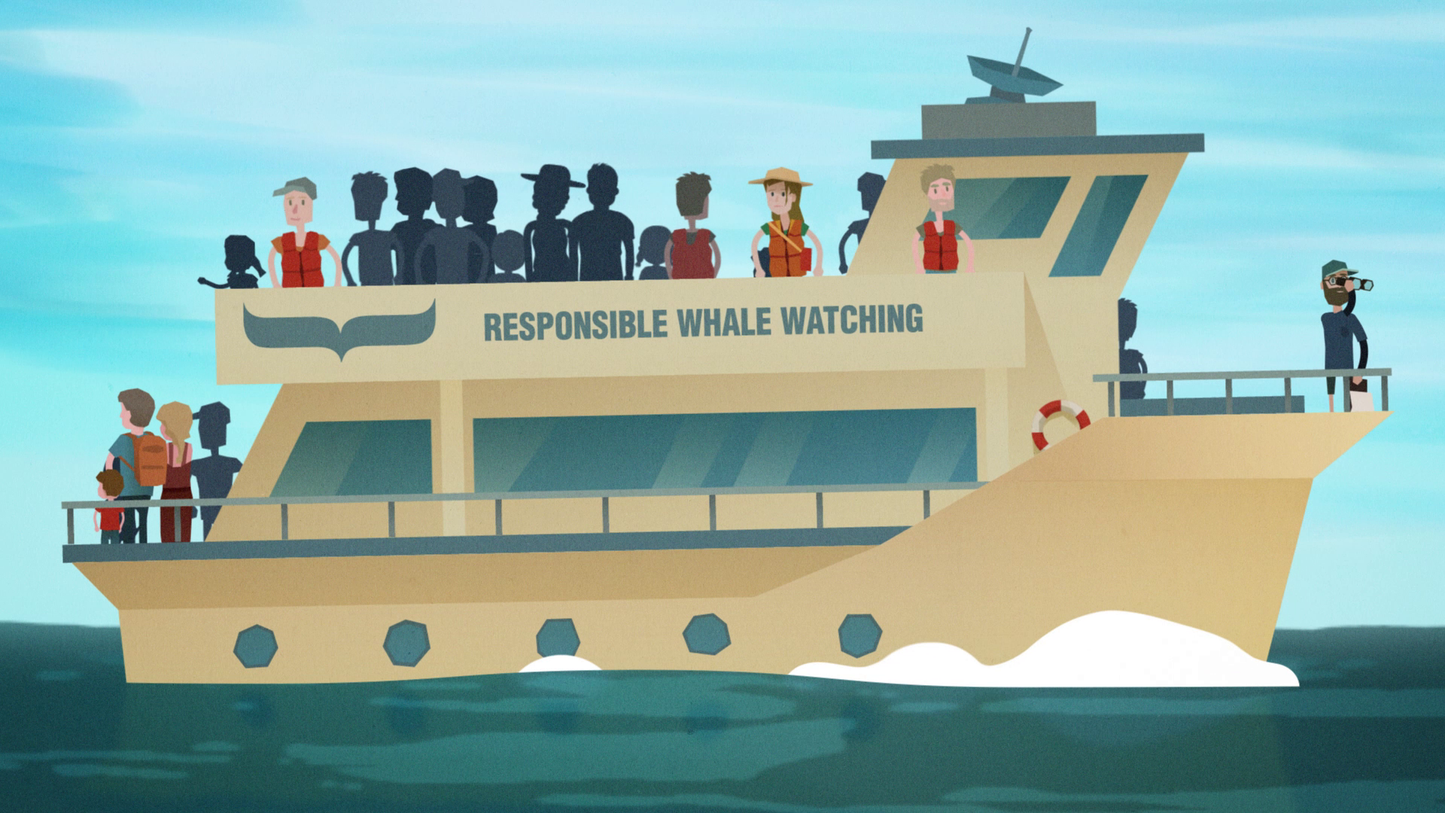 Company of Heroes 2 - Whale and Dolphin Conservation Charity Pattern Pack Steam Key GLOBAL