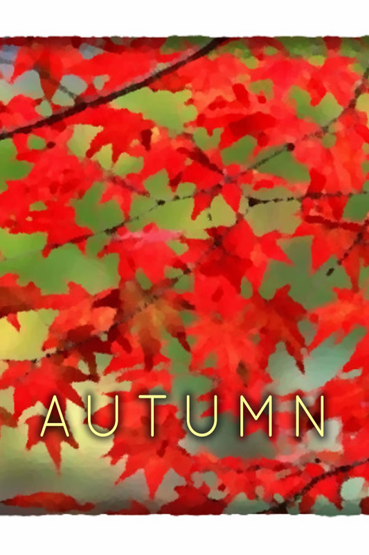 Autumn Steam Key GLOBAL