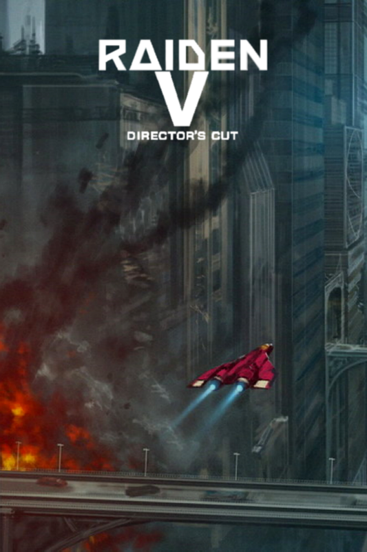 Raiden V: Director's Cut PC