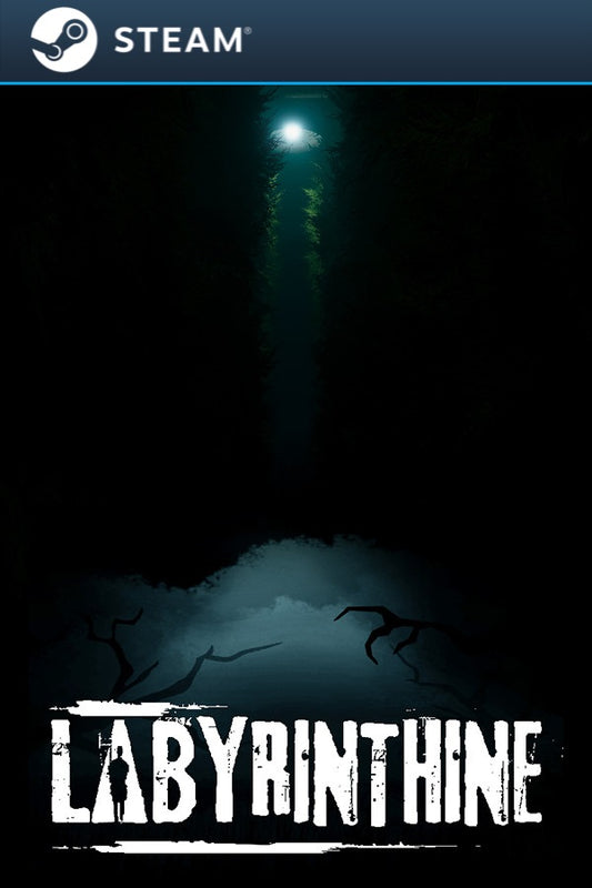 Labyrinthine (Steam)