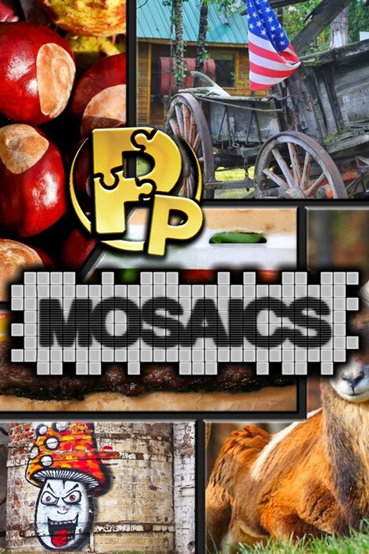 Pixel Puzzles Mosaics