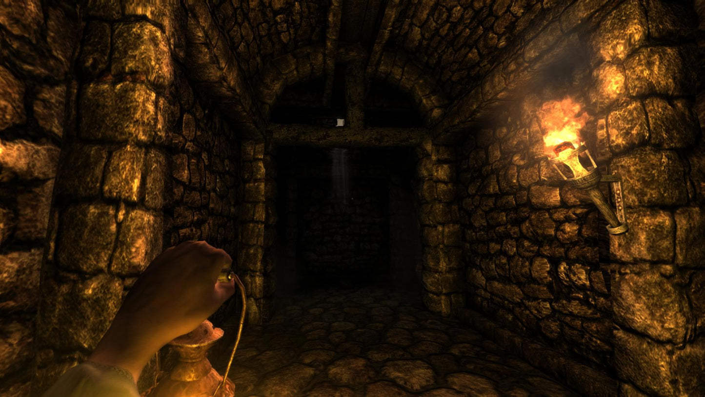 Amnesia: The Dark Descent