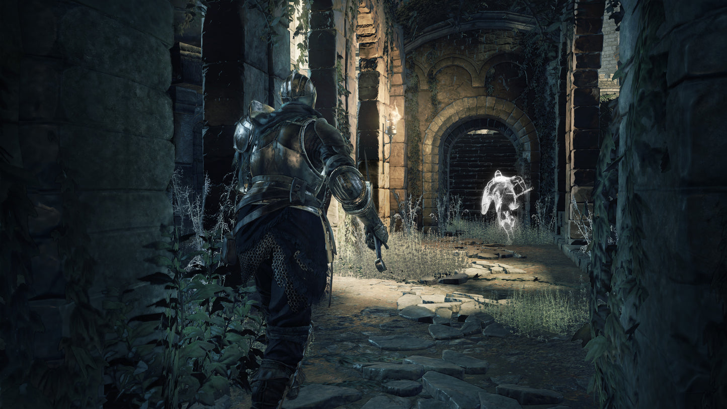 Dark Souls 3 Souls 20M (PS4, PS5)
