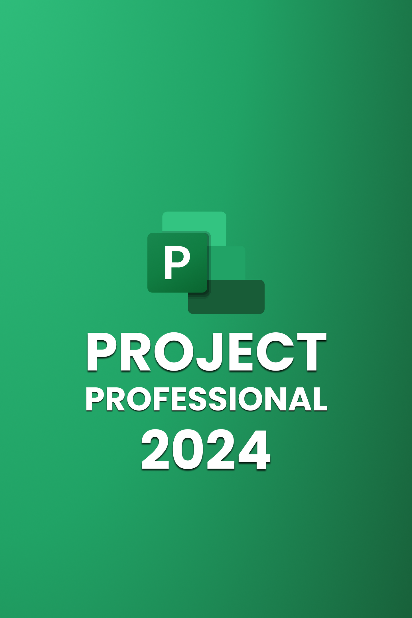 Microsoft Office 2024 Professional Plus