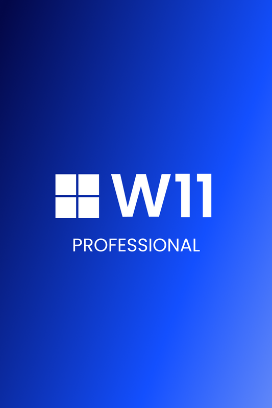 Microsoft Windows 11 Professional