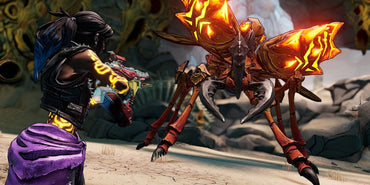 Borderlands 3: Director's Cut (DLC) (Steam) (EU)