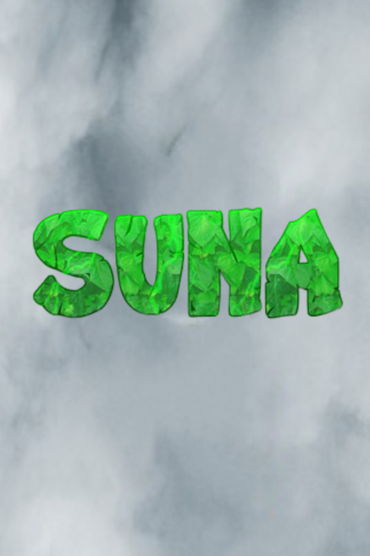 Suna Steam CD Key