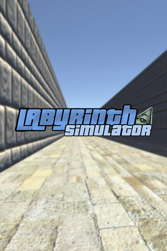 Labyrinth Simulator