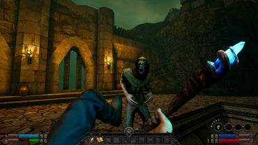GRAVEN (Deluxe Edition) (Steam)