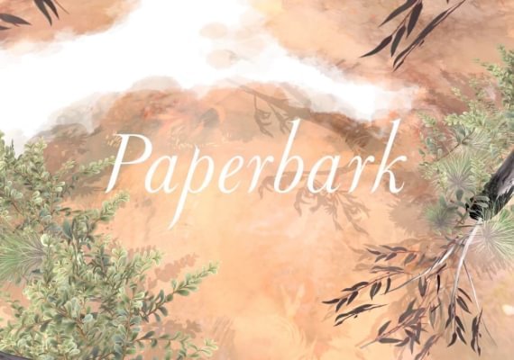 Paperbark - Steam - Key GLOBAL