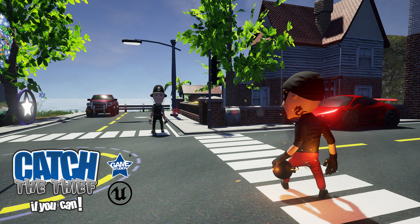 Catch the Thief, If you can!