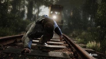 The Vanishing of Ethan Carter EU Steam CD Key