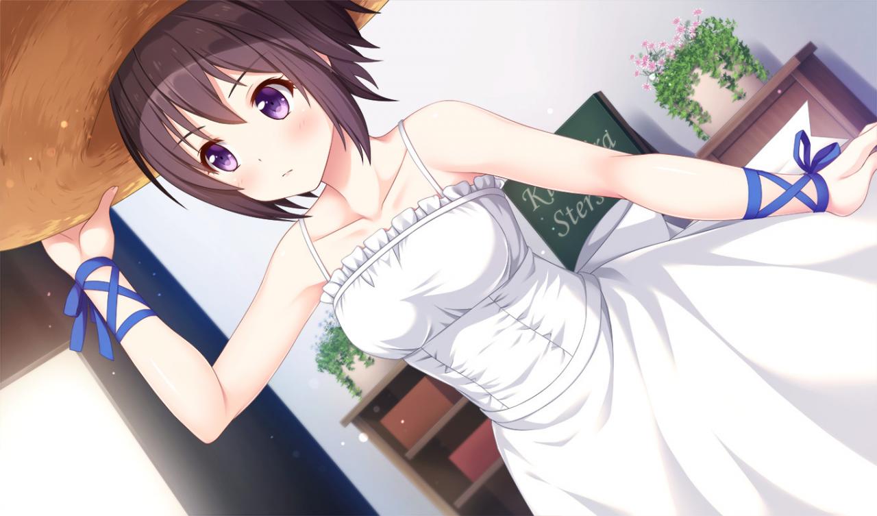 Kirakira stars idol project Nagisa Steam CD Key