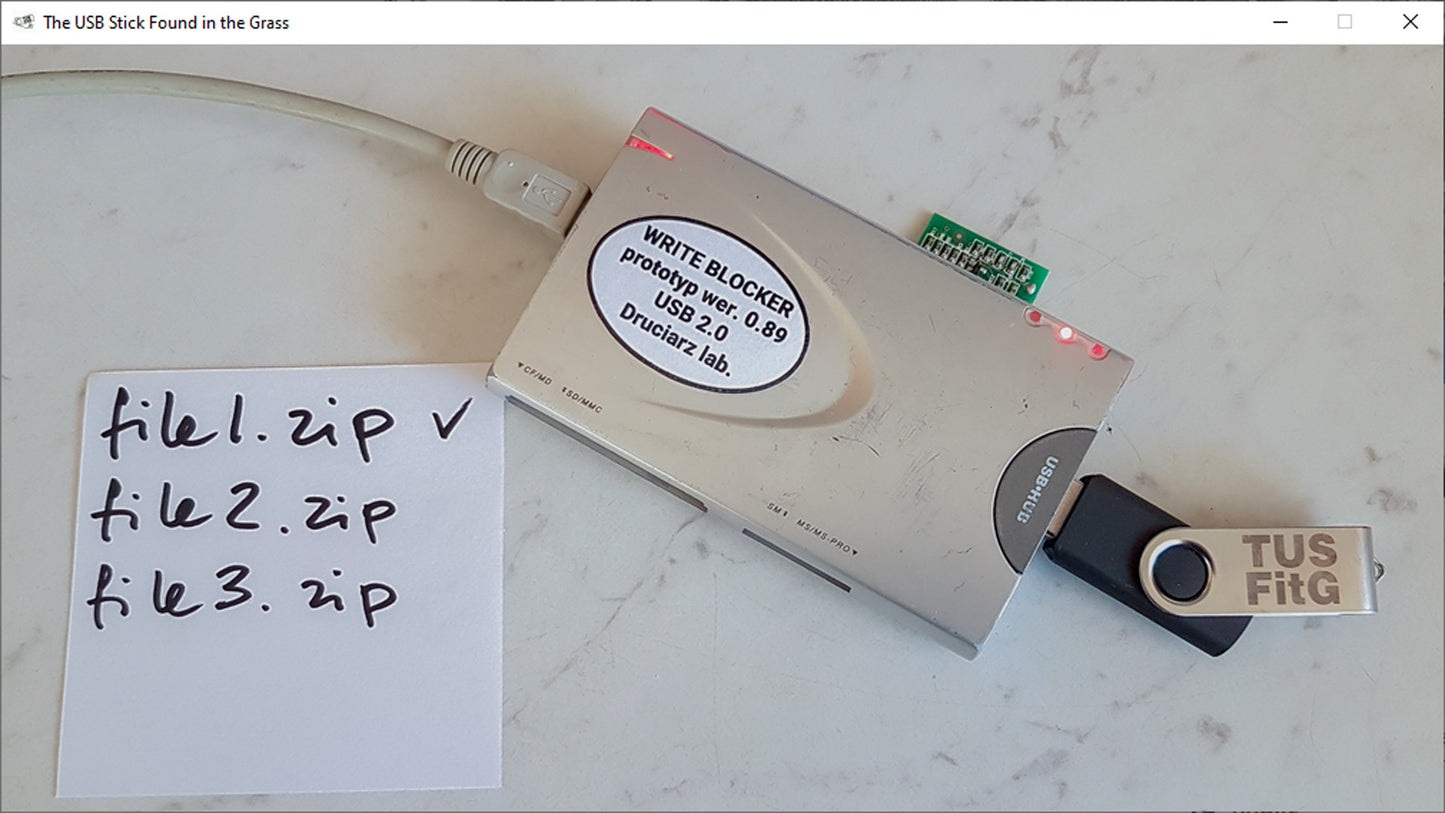 The USB Stick Found in the Grass (Steam)