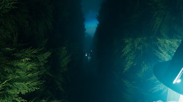 Labyrinthine (Steam)