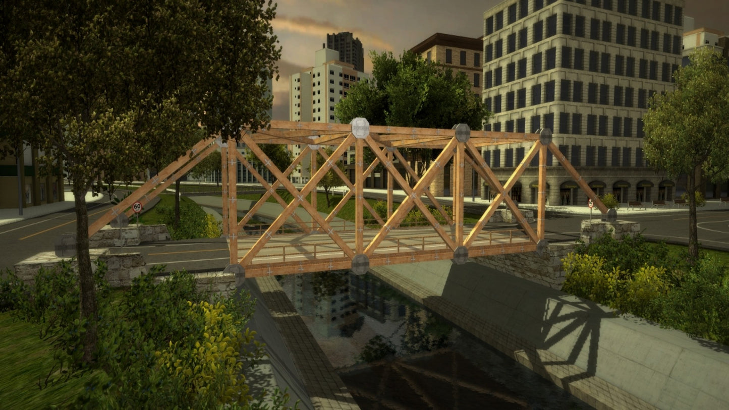 Bridge project