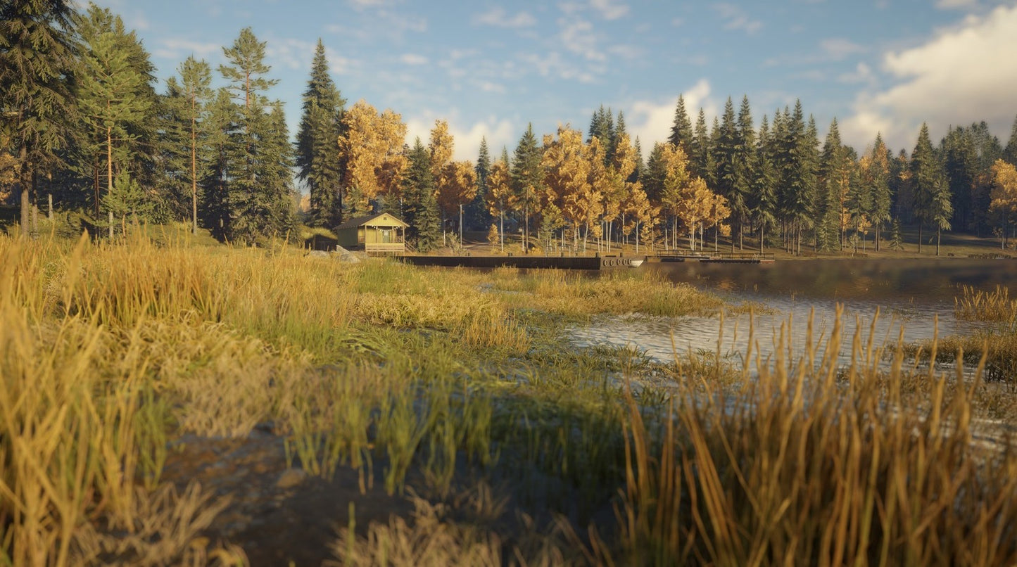 theHunter: Call of the Wild - Revontuli Coast (DLC)