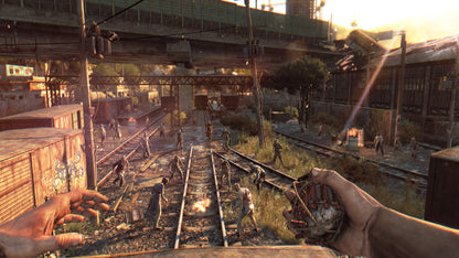 Dying Light uncut (EU)