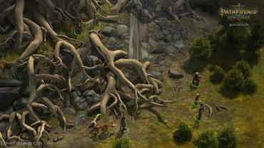 Pathfinder: Kingmaker (Enhanced Plus Edition)