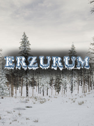 Erzurum