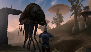Elder Scrolls Summer Bundle (PC) (Steam)