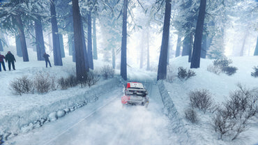 Generații WRC (Steam)