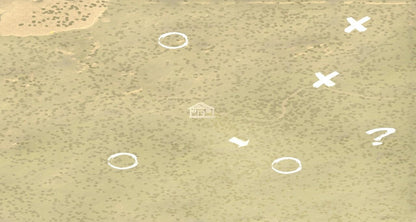 Forest Woodman Steam CD Key