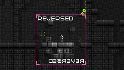 RETSNOM Steam CD Key