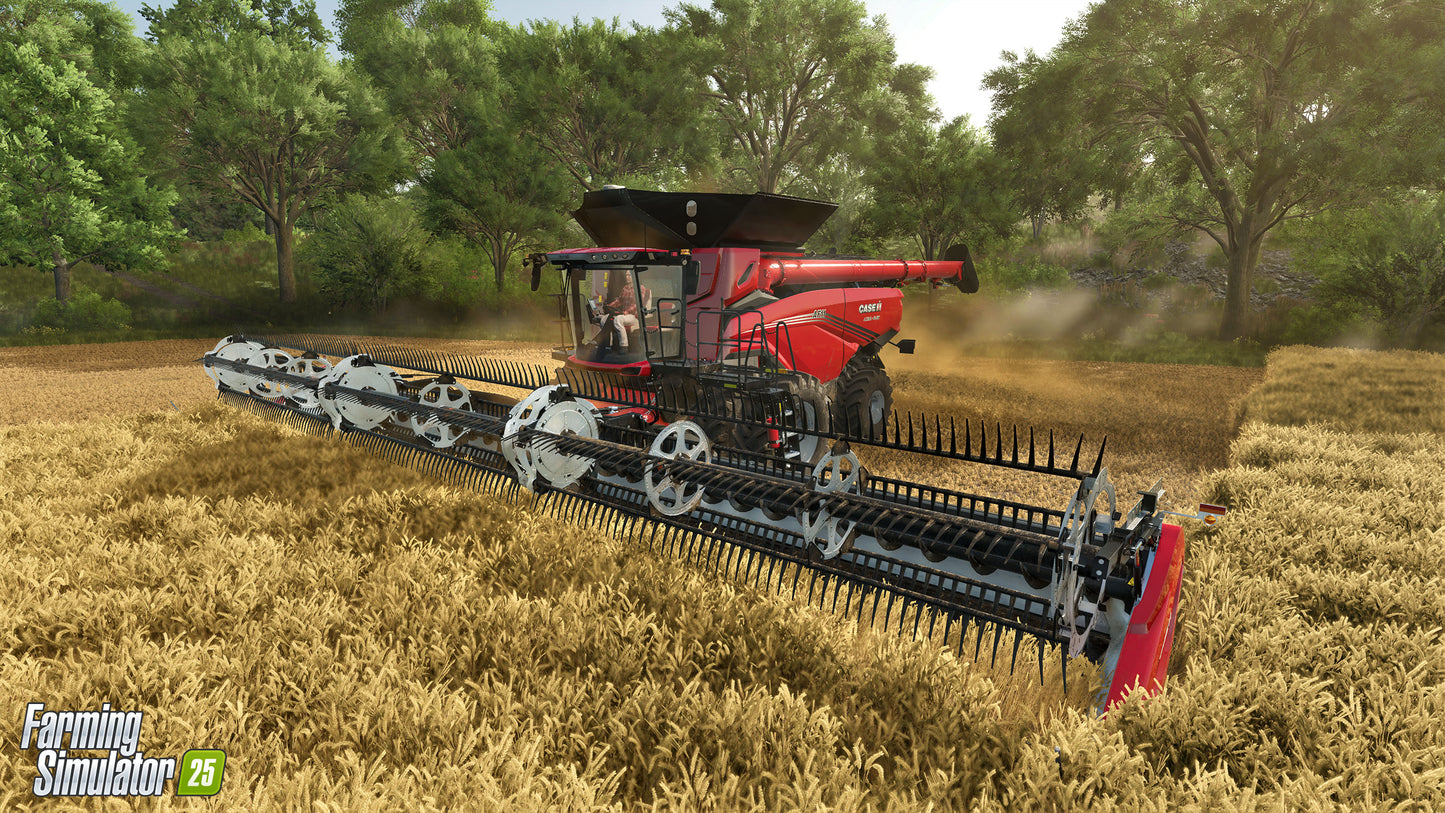 Farming Simulator 25 (Steam)