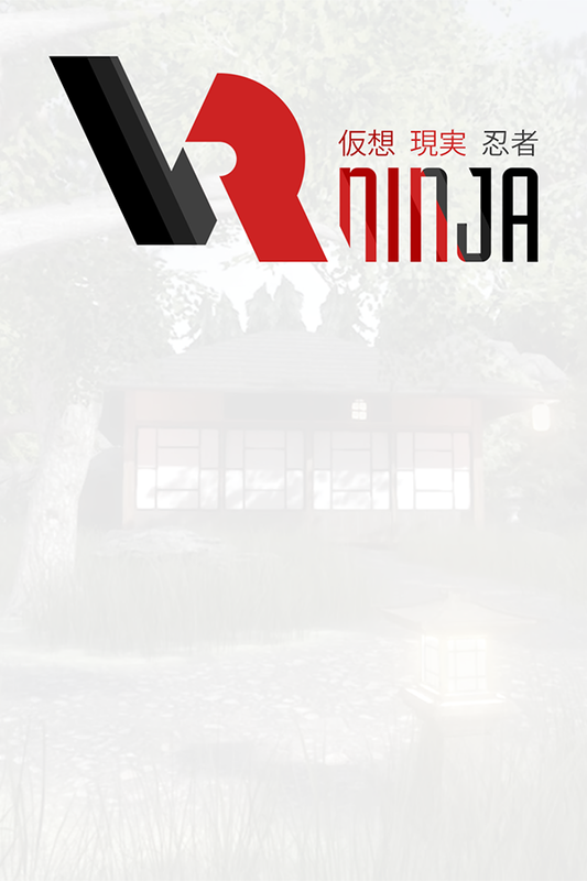 VRNinja