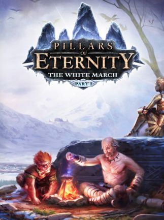 Pillars of Eternity: The White March Part I