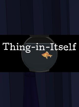 Thing-in-Itself