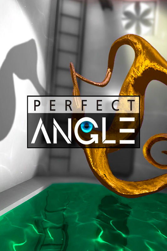 Perfect Angle Steam CD Key