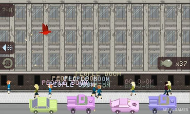 Grand Pigeon's Duty