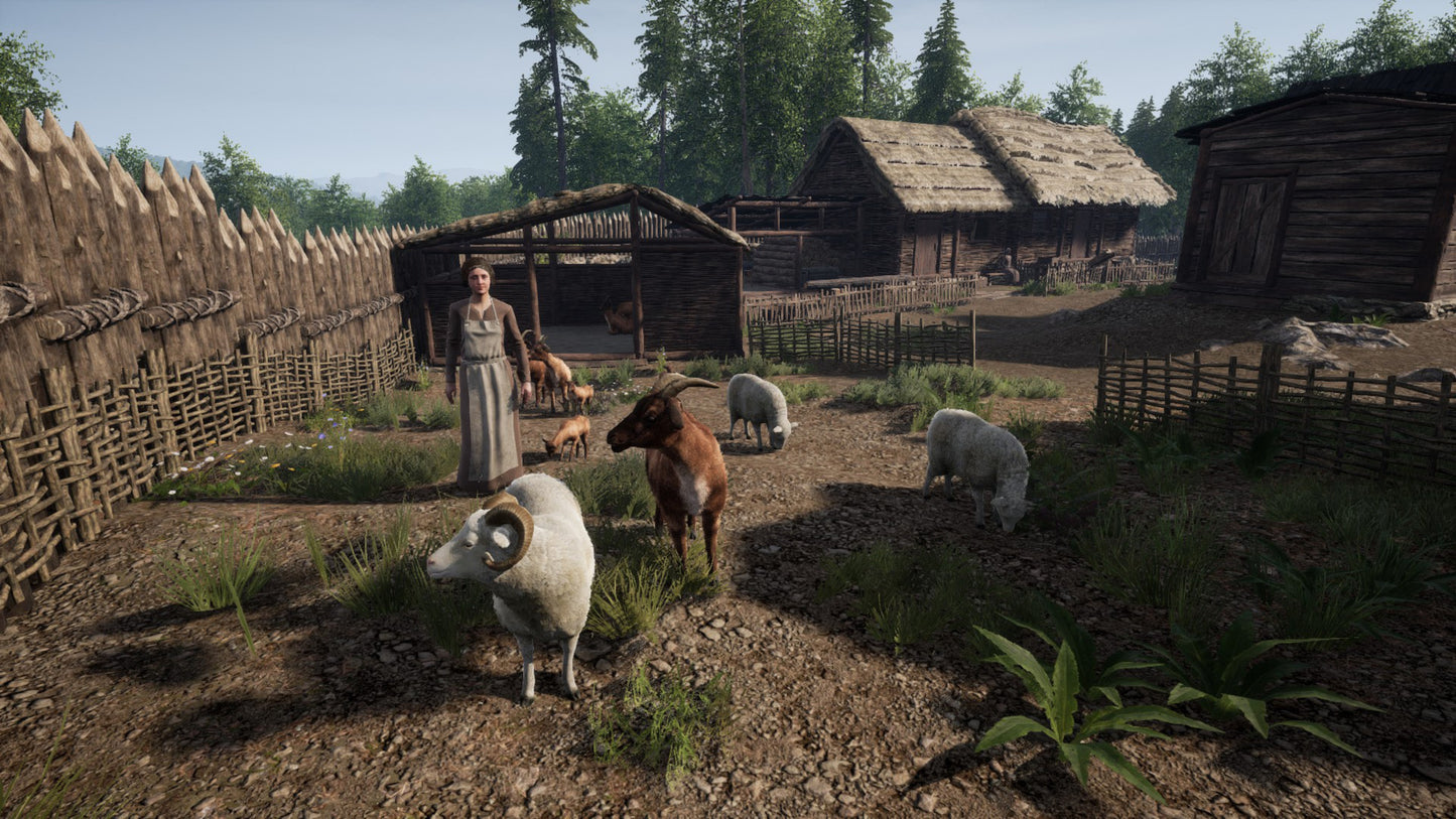 Medieval Dynasty (PS5) (EU)