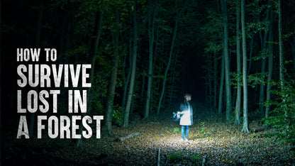Lost in the Forest