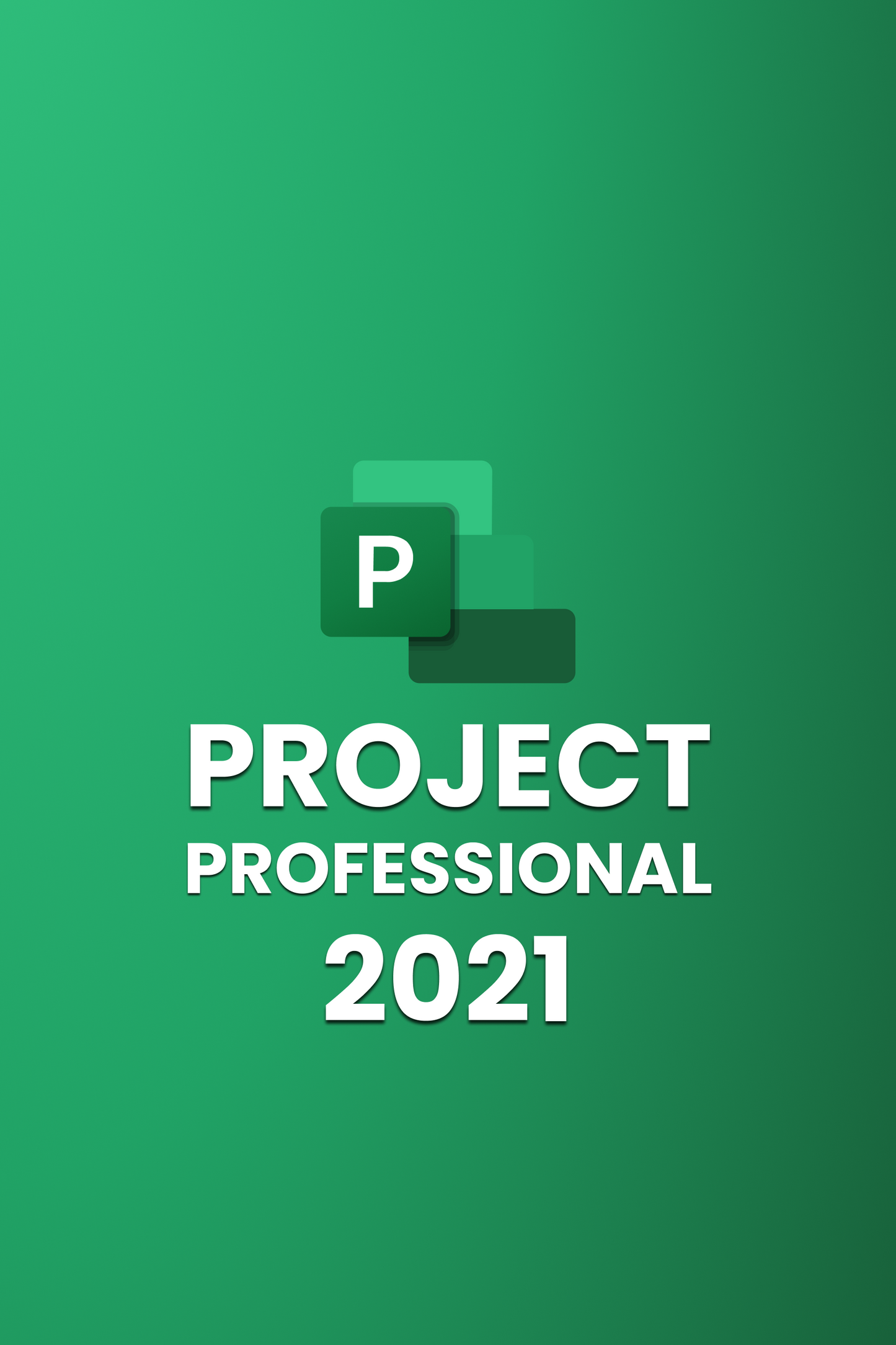 Microsoft Office 2024 Professional Plus