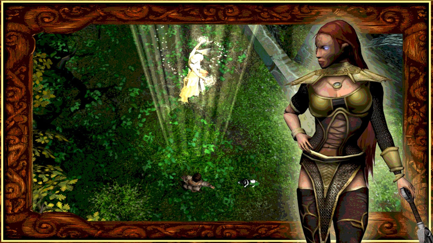 The Bard's Tale: Remastered and Resnarkled
