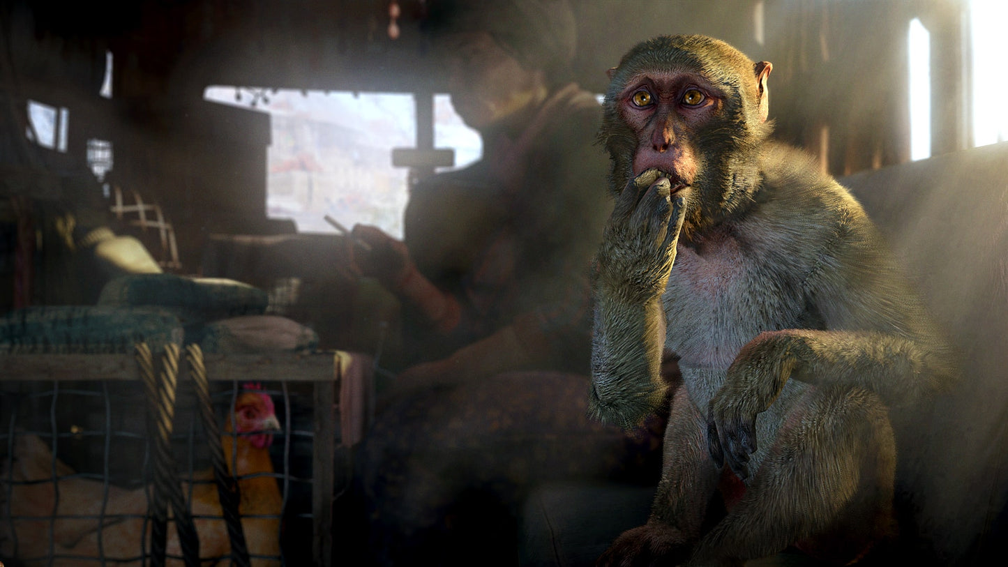 Far Cry 4 (Gold Edition)