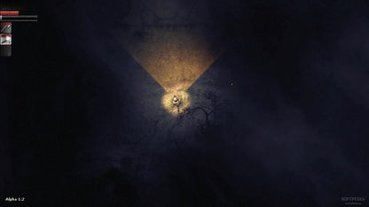 Darkwood Steam Key GLOBAL