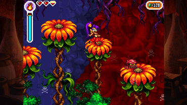 Shantae: Risky's Revenge - Director's Cut