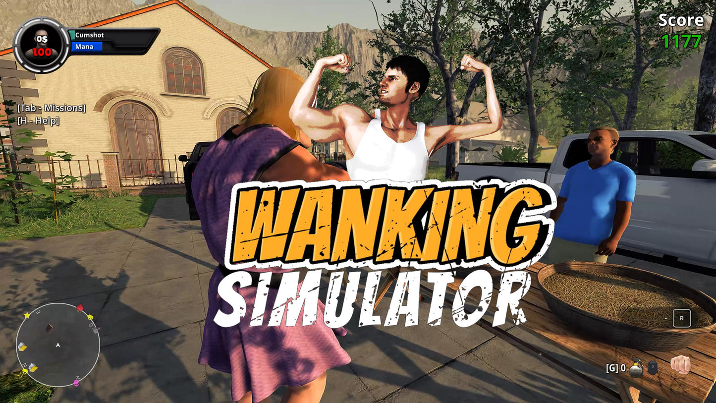 Wanking Simulator