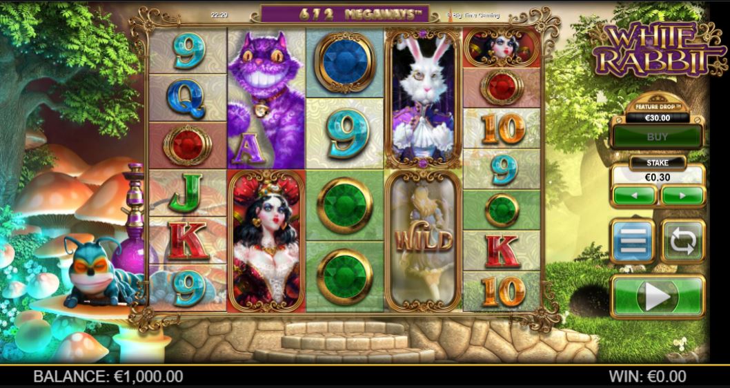 White Rabbit