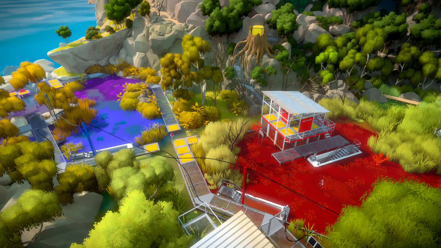 The Witness