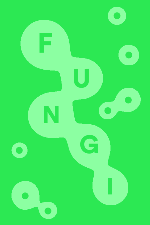 FUNGI
