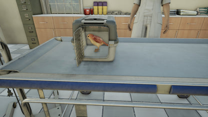 Animal Doctor