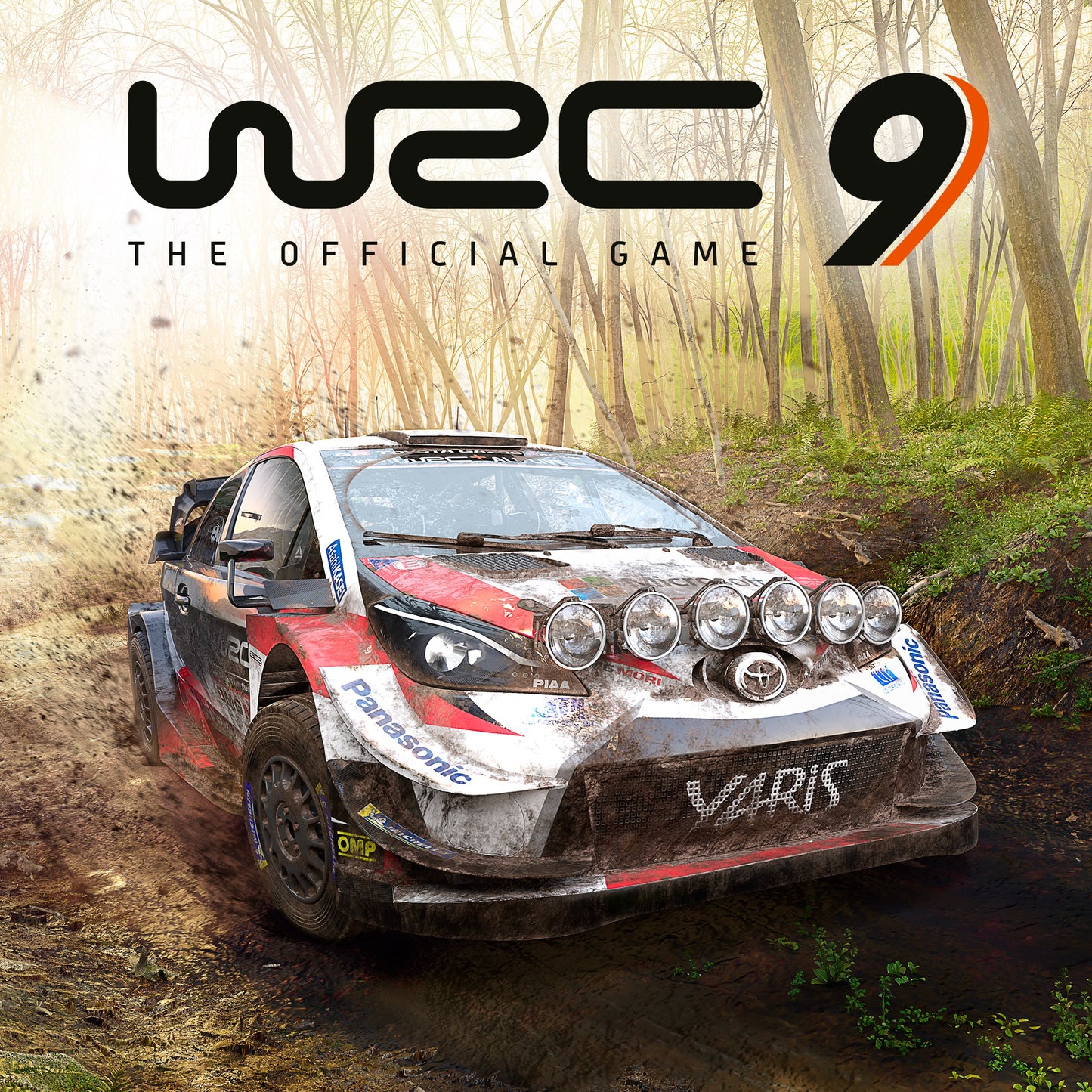 WRC 9 (Ediție Deluxe)